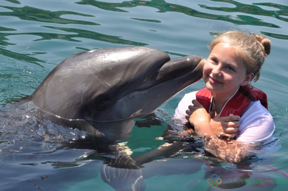 Marmaris Yunus Terapi Parkı | Tatil Paketleri,Tatil Turları ve Günlük  Turlar | Paket Tatilim