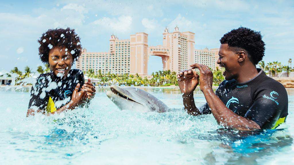 Marmaris Yunus Terapi Parkı | Tatil Paketleri,Tatil Turları ve Günlük Turlar