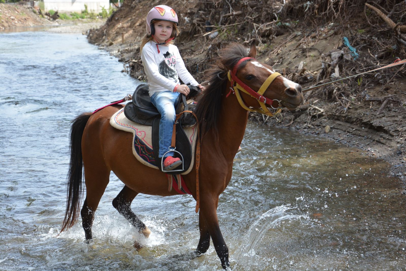 Marmaris-At-Safari